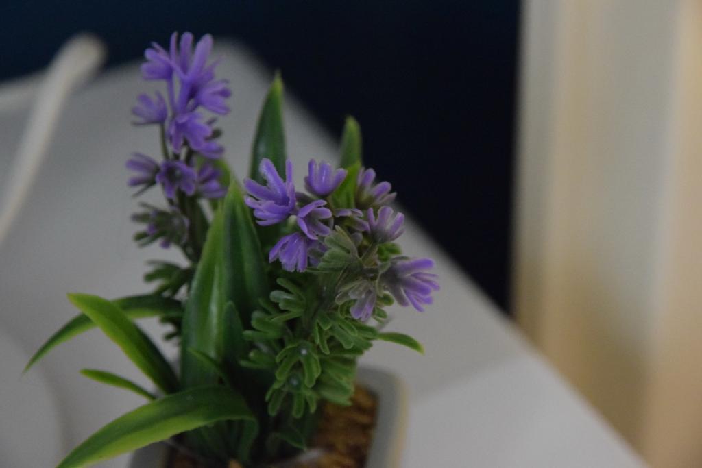 Il Giardino Di Gio Hotell Firenze Eksteriør bilde